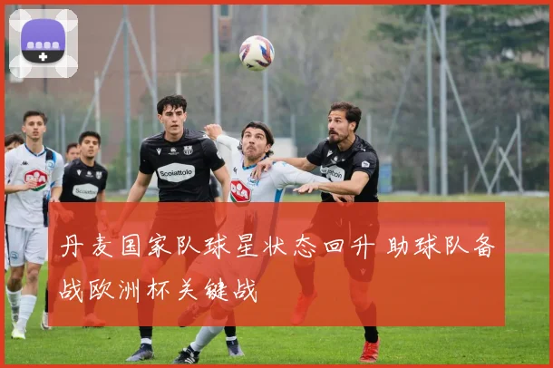 丹麦国家队球星状态回升 助球队备战欧洲杯关键战