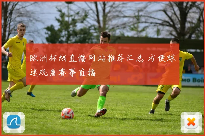 欧洲杯线直播网站推荐汇总 方便球迷观看赛事直播